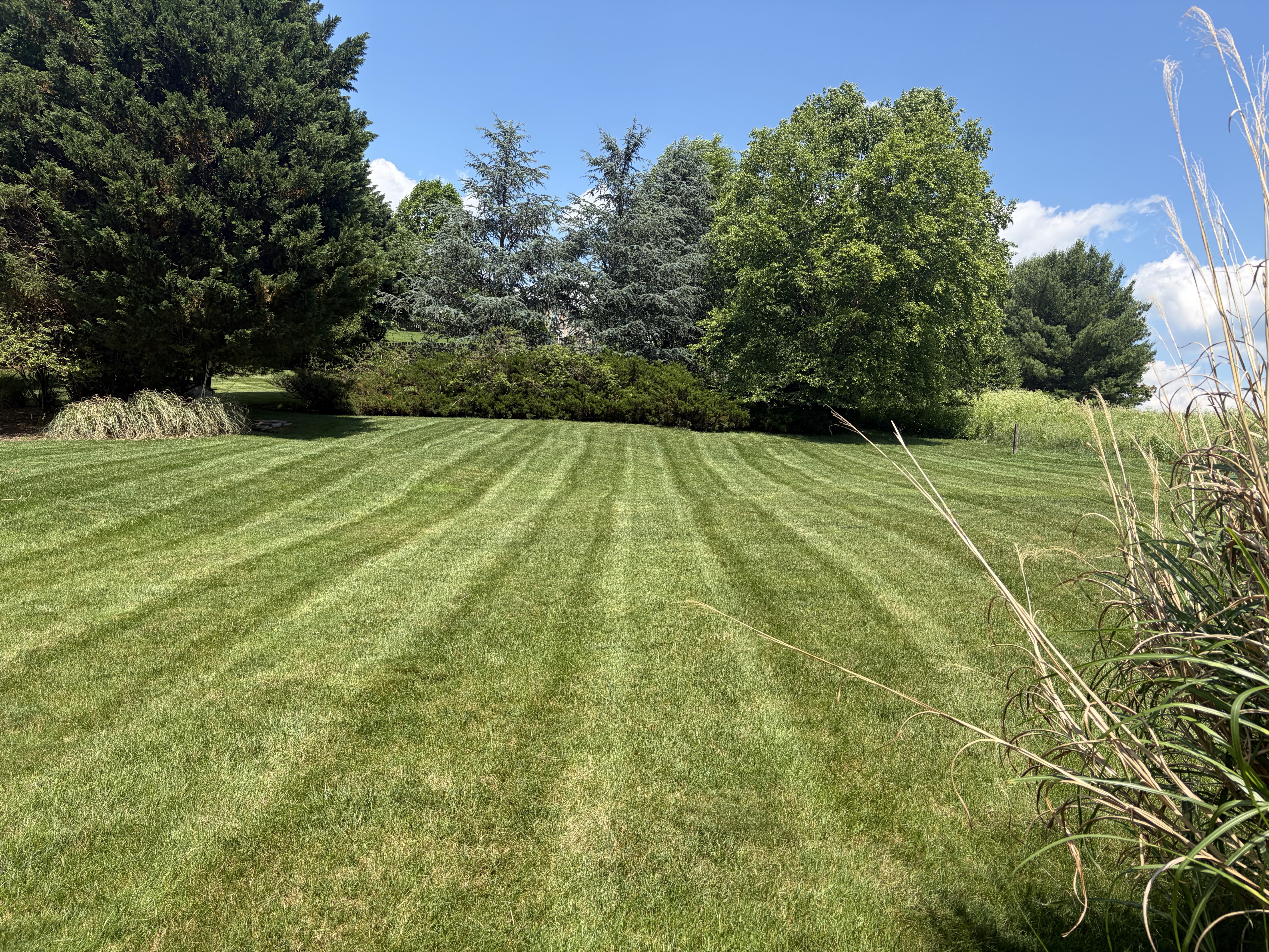 Landscaping project